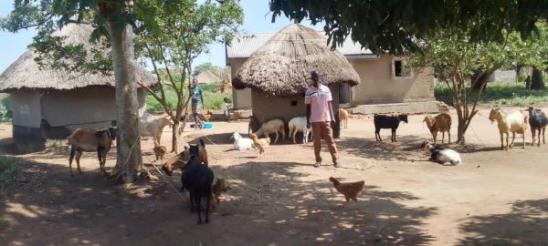 Otuke