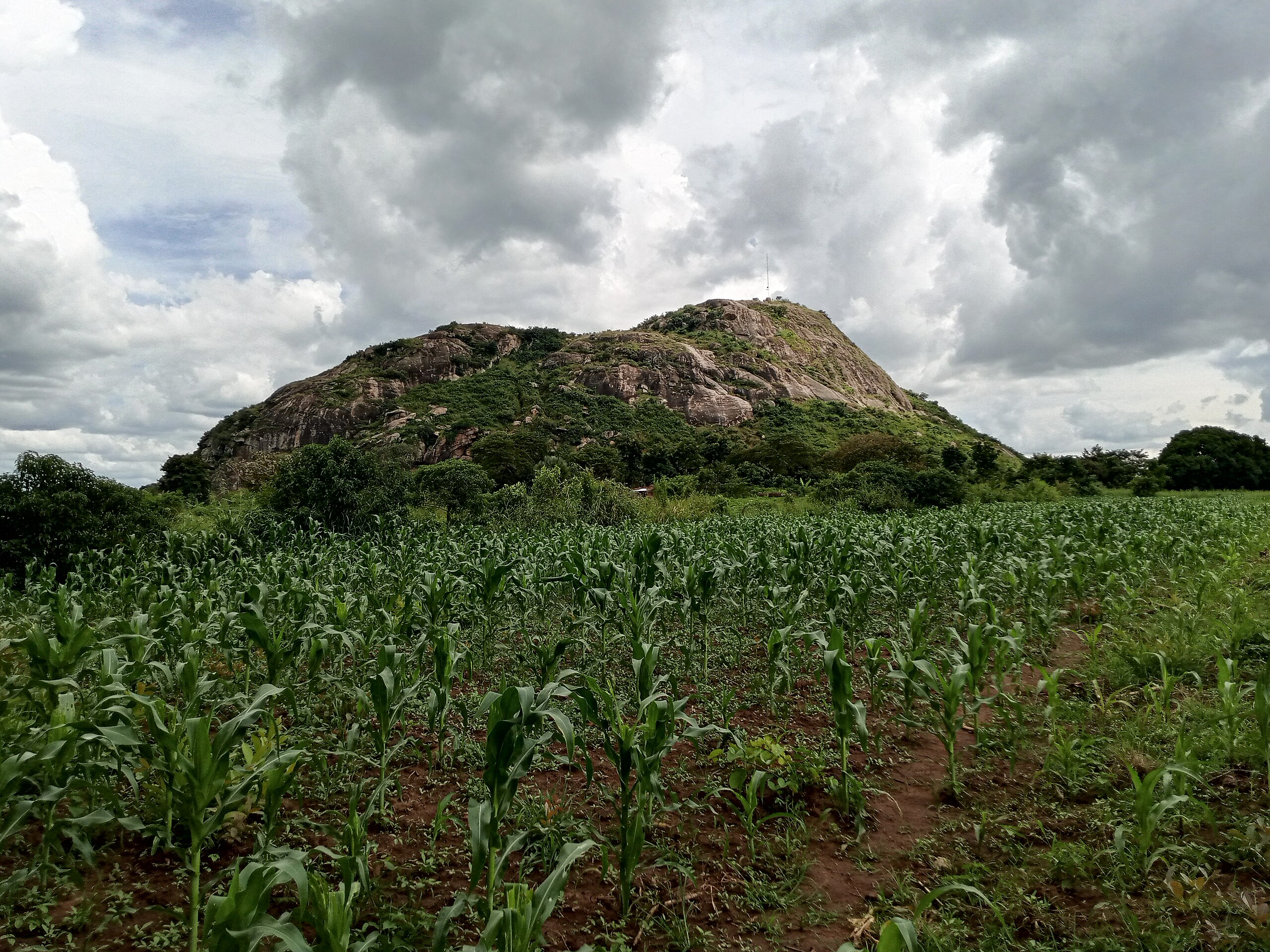 Lango Cultural Pattern
